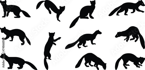 Marten silhouettes. marten icon set from animals element collection wildlife outline vector isolated on transparent background flat black icon marten sign, symbol for web and mobile