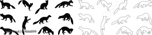 Fototapeta Naklejka Na Ścianę i Meble -  Marten silhouettes. marten icon set from animals element collection wildlife outline vector isolated on transparent background. Line and flat black icon marten sign, symbol for web and mobile