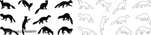 Marten silhouettes. marten icon set from animals element collection wildlife outline vector isolated on transparent background. Line and flat black icon marten sign, symbol for web and mobile