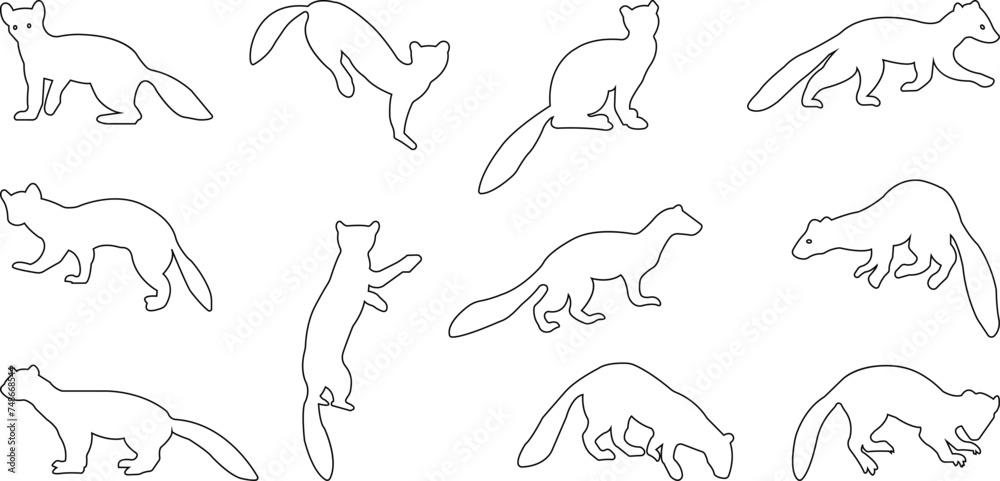 Marten silhouettes. marten icon set from animals element collection wildlife outline vector isolated on transparent background line black icon marten sign, symbol for web and mobile