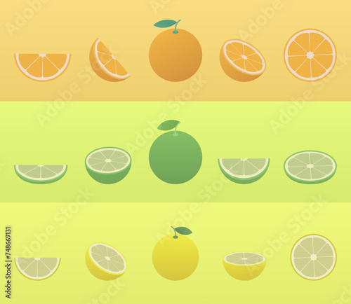 Set of citrus fruits on a color background. 