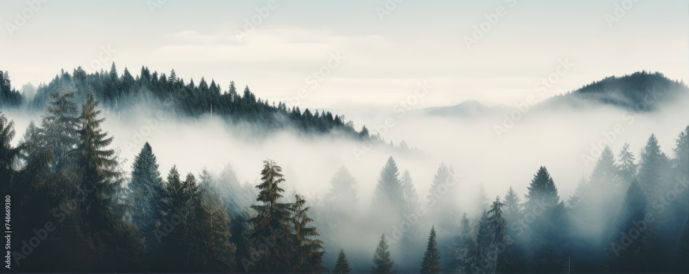 Foggy mountain in wide banner shape. Mystic fog morning nature scenery.