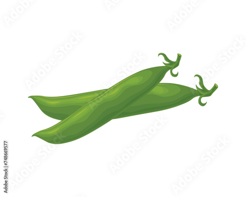 Green peas. Ripe green peas. Two pea pods. A garden vegetable. A vegetarian product. Vector illustration isolated on a white background