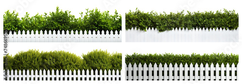 Set of lush green bushes over white picket fences, cut out photo