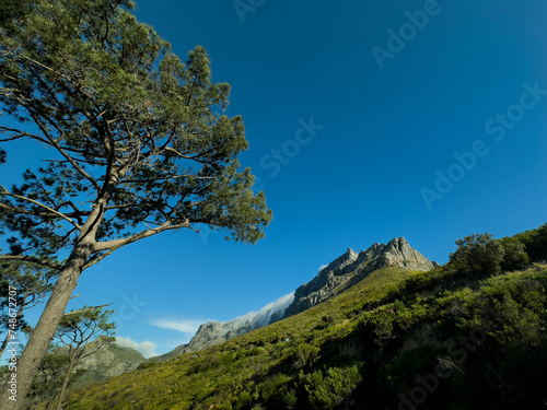 Table Mountain, Cape Town, South Africa
