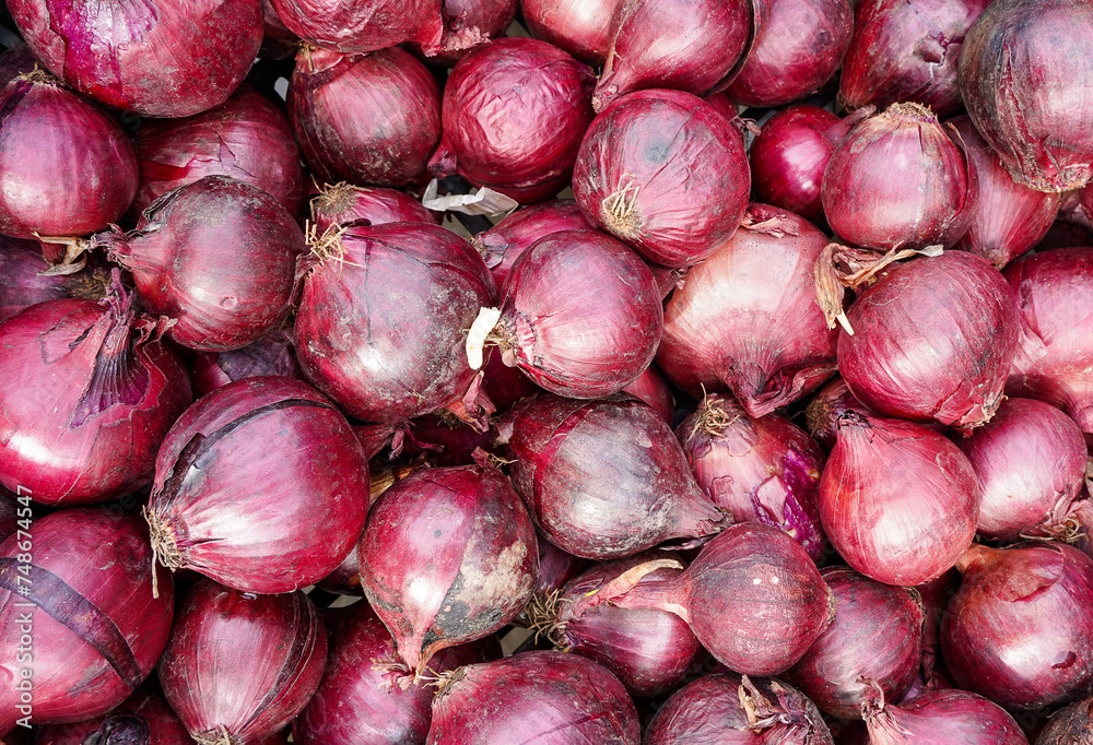 Red onions. Ripe and shiny onions background. Onion theme.