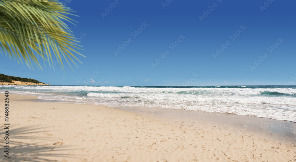 Beautiful exotic beach view with palm trees