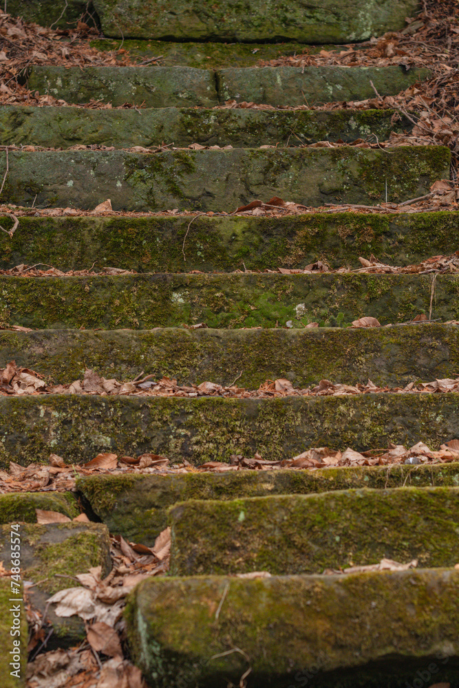 Moss covered steps dark moody background image Moss covered steps dark moody background image