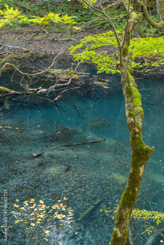 日本 青森県西津軽郡深浦町の白神山地西部に位置する湖沼群、十二湖の沸壺の池と紅葉.