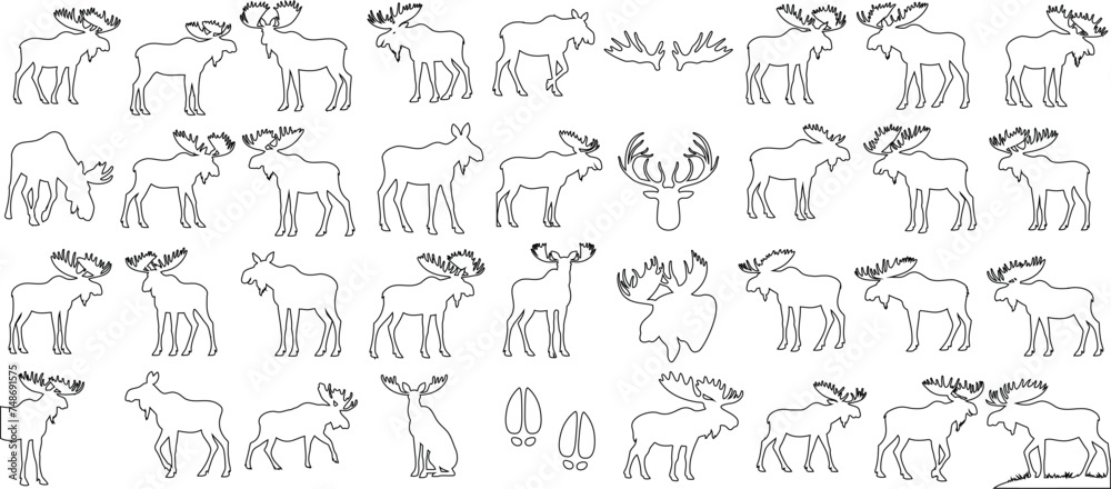 moose line art