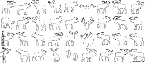 moose line art