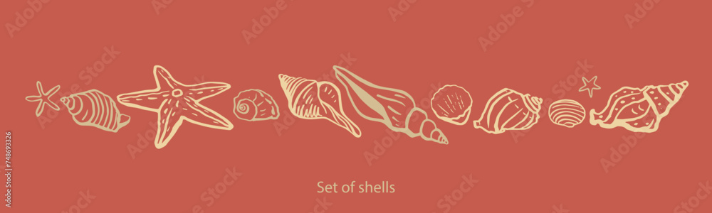 Seashells vector set. Hand drawn illustrations.Marine background. Seashells vector set. Hand drawn illustrations.Marine background.