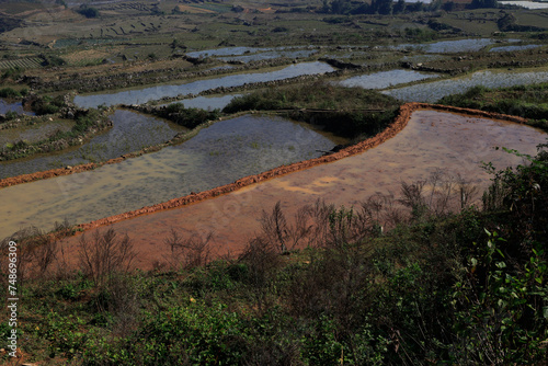 View of Sapa rice fields in Vietnam