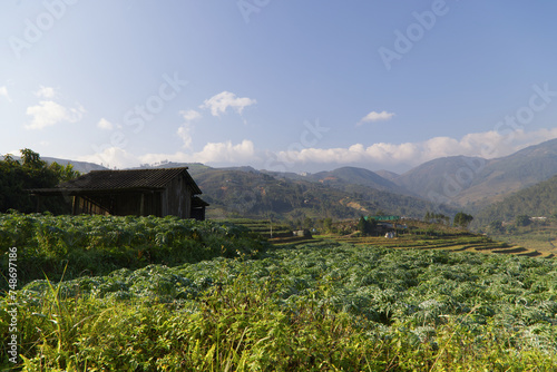 Sapa countryside landscape in Vietnam