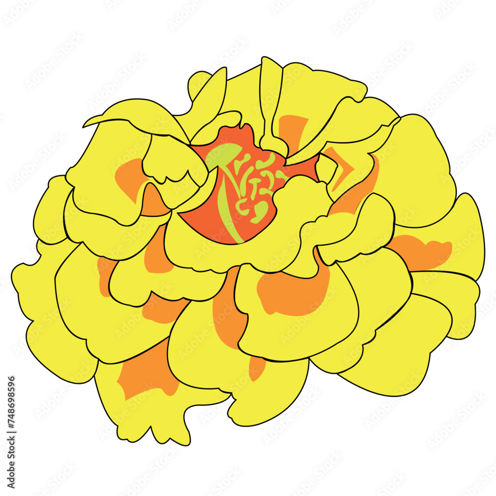 Beautiful flower. A blossoming bud with many petals emanating from the center of the plant. Nice colour. The illustration can be used as decoration.