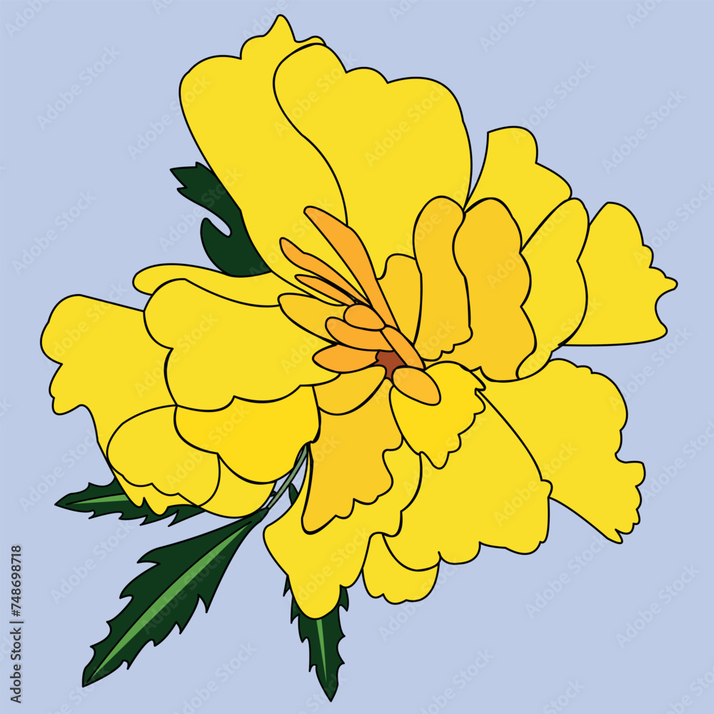 Beautiful flower. A blossoming bud with many petals emanating from the center of the plant. Nice colour. The illustration can be used as decoration.