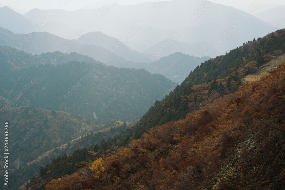Obraz premium 紅葉の御在所岳