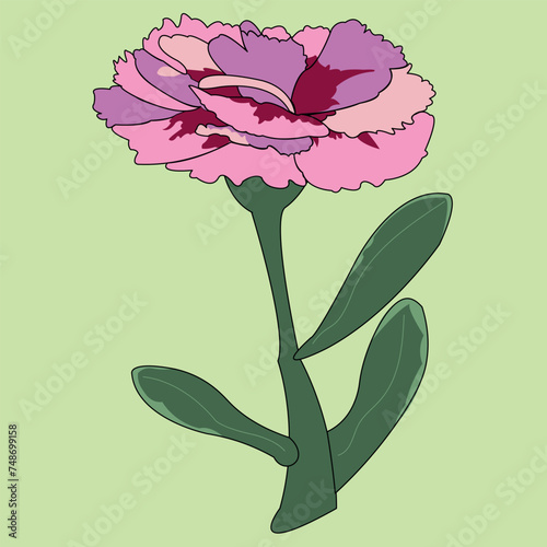 Beautiful flower. A blossoming bud with many petals emanating from the center of the plant. The petals are on a green stem. Nice colour. The illustration can be used as decoration.