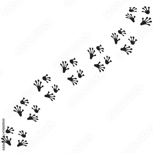Frog or toad paw footprint. Silhouette. Front and hind frog legs. Black pow vector . Paw print of amphibian, frog, toad, lizard, salamander, newt. Icon, symbol. Print, textile, postcard, t-shirt.