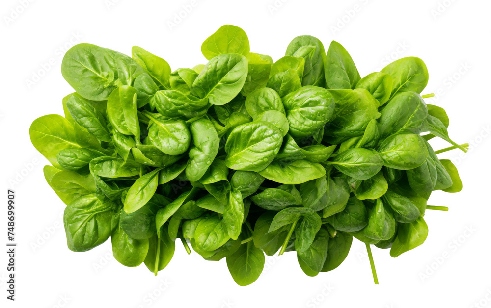 Fresh Spinach Leaves Display on white background Fresh Spinach Leaves Display on white background