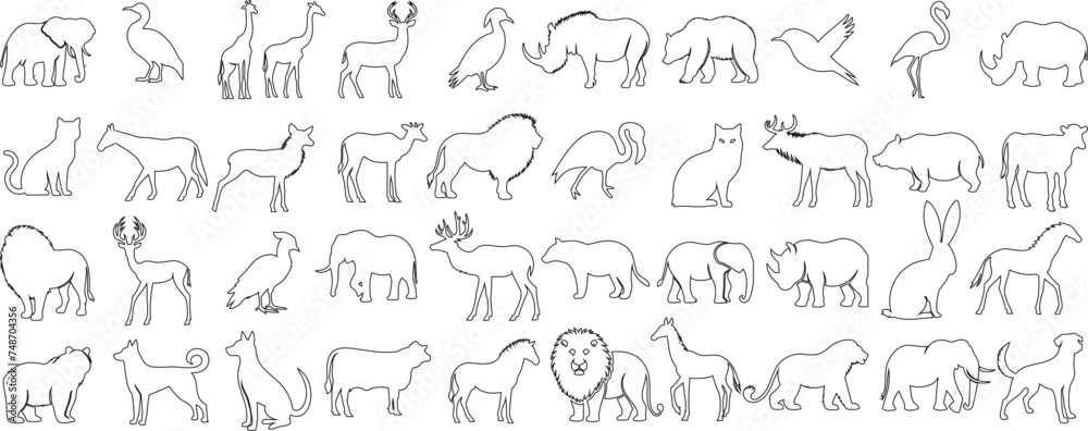 Minimalist animal outlines collection, perfect for educational materials, animal line art projects, wildlife enthusiasts. Features diverse animals species in simple, elegant designs