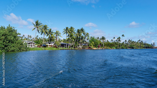 Wide-angle view from a tourist boat of houses on the bank of the Wailua River, Kauai Island, Hawaii