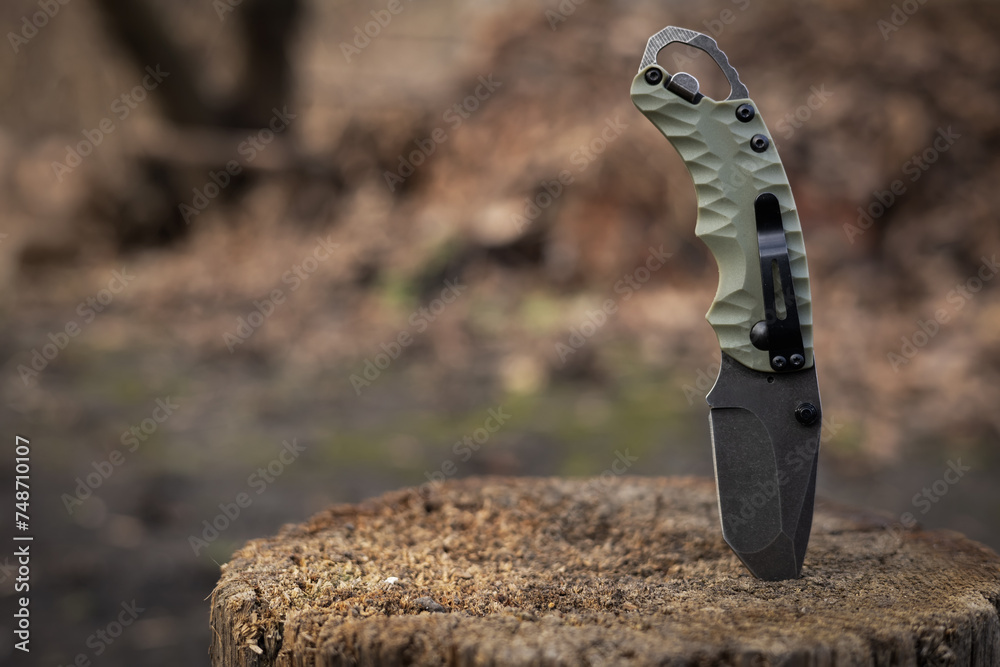 Tactical knife stuck in a tree stump in a forest Tactical knife stuck in a tree stump in a forest