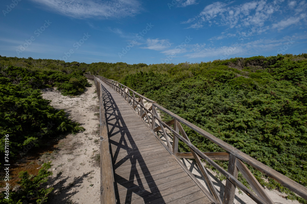 Es Comu wooden walkway, Àrea Natural d'Especial Interès, included within the Natural Park of s'Albufera, Mallorca, Balearic Islands, Spain