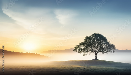 Lonely lush tree in foggy field in the morning ,spring concept © terra.incognita