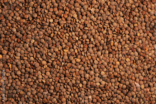 Dried Brown Lentils background Macro