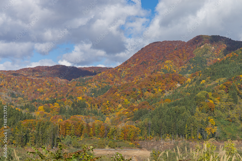 日本　青森県中津軽郡西目屋村の津軽白神湖パークからの紅葉風景