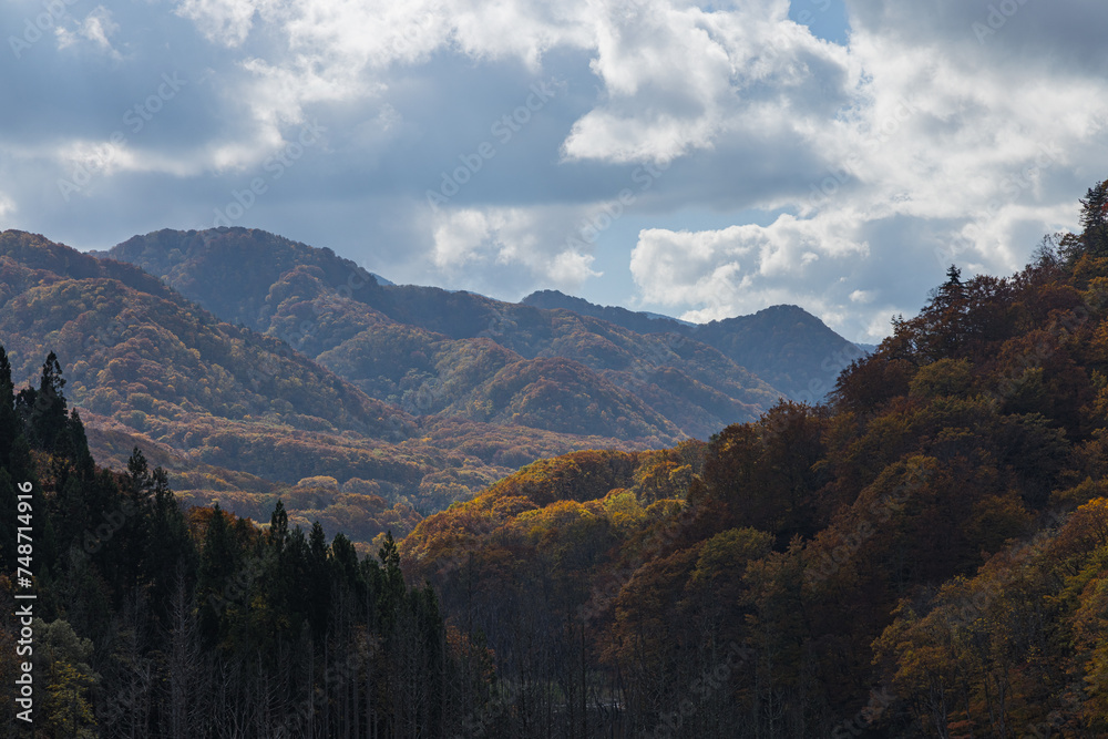 日本　青森県中津軽郡の大川白神橋から見える紅葉と風景