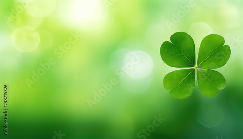 Clover with blurred background with space for text, concept St.Patrick 's Day © terra.incognita