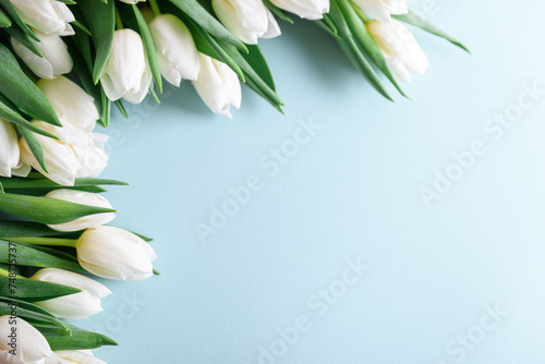 Border of white tulips on blue background. Anniversary celebration concept. Top view. Copy space