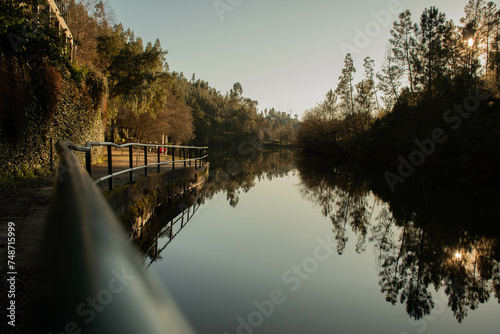 Ribeiro no meio de árvores na montanha