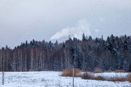 Fumée d'usine derrière des arbres