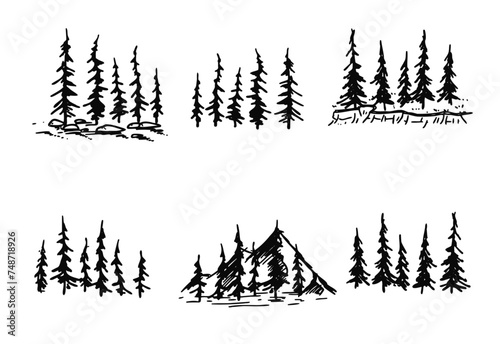 Forest trees silhouette. Set of Stencil of pine. Winter park landscape. Wooden decor element with mountain. Concept of adventure and travel, active lifestyle in nature