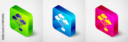 Isometric Japanese bonsai tree icon isolated on grey background. Japanese culture, horticulture, olericulture hobby concept. Square button. Vector