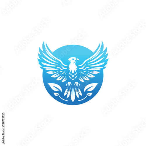 Eagle Soaring