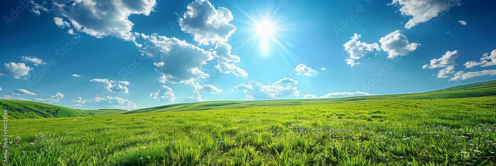 Spring green meadow with wild flowers, glass field with flowers in blue ...