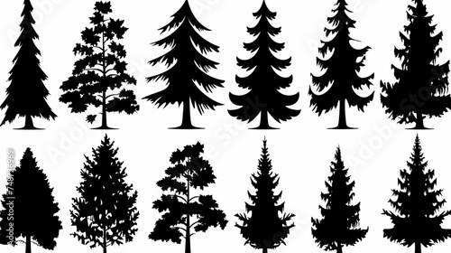 The dark outline of a forest's deciduous and coniferous fir trees vector silhouettes isolated in side view with a thick outline set   photo