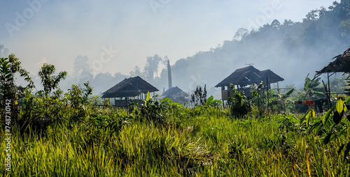 Huts on stilts inhabited by the Wana people stand among the tall grass of the Morowali Reserve, in Central Sulawesi photo