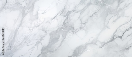 This close-up showcases the intricate details of a white marble texture, revealing the smooth surface with grey veins and subtle patterns. photo