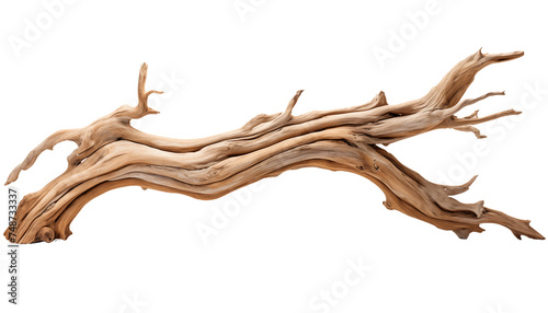 wooden driftwood on a white background.