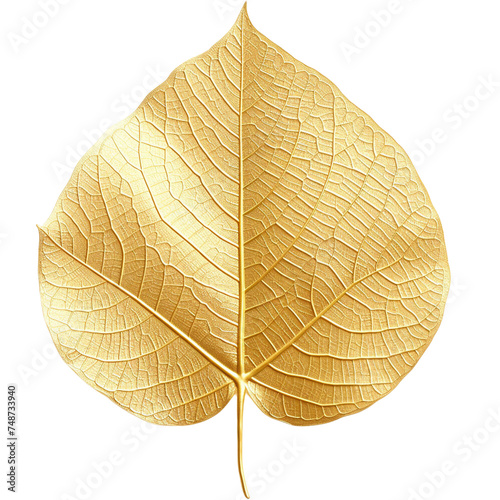 golden bodhi leafมGenerative AI illustration, leaf, autumn, texture, nature