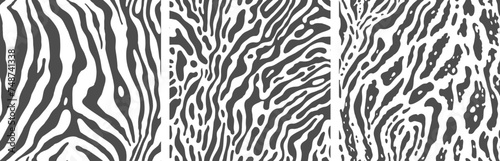 Set of monochrome zebra print backgrounds.