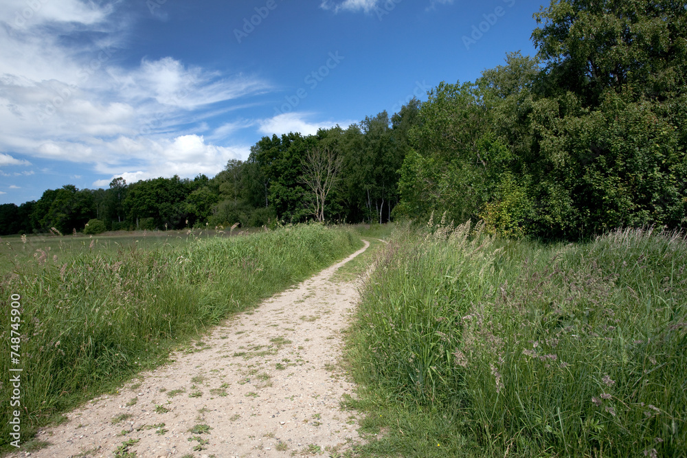 Walking Path near River Alster