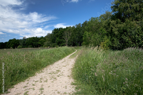 Walking Path near River Alster