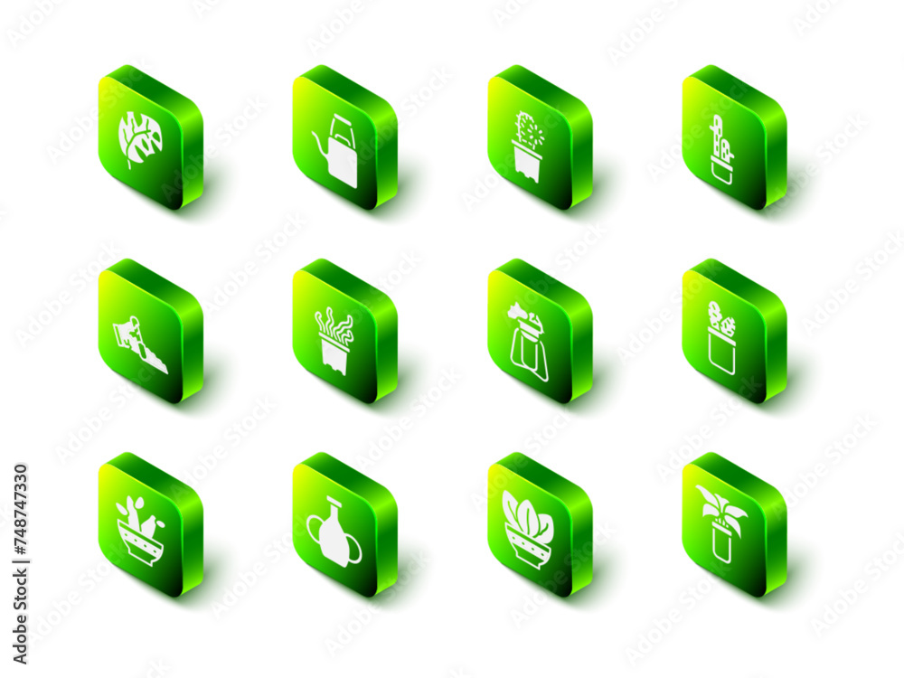 Set Watering can, Cactus peyote pot, Exotic tropical plant, Plant on stand, and Vase icon. Vector Set Watering can, Cactus peyote pot, Exotic tropical plant, Plant on stand, and Vase icon. Vector