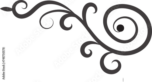 Vector illustration graphic elements for design swirl elements decorative illustration
